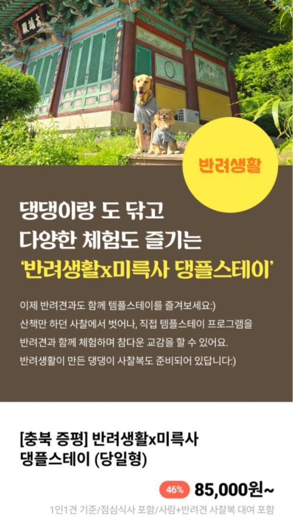 반려생활 x 미륵사 당일형 댕플스테이 1