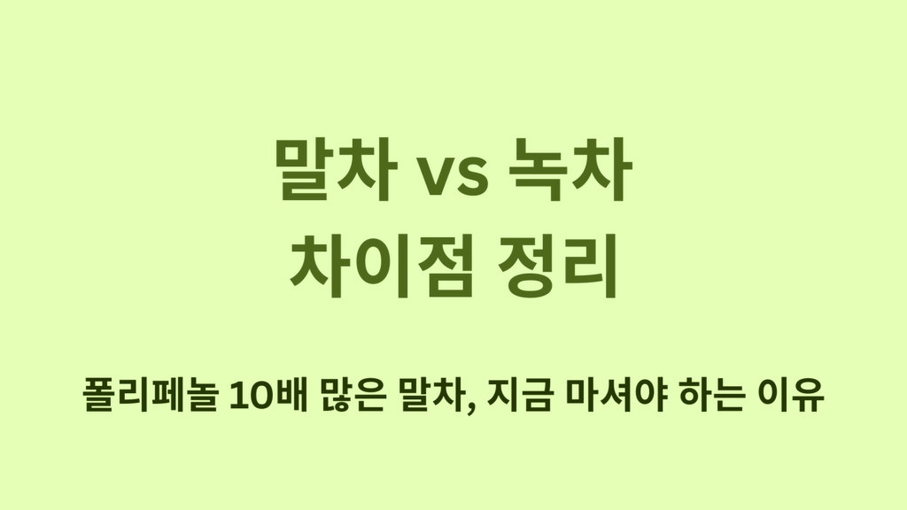 말차 vs 녹차 차이점 정리