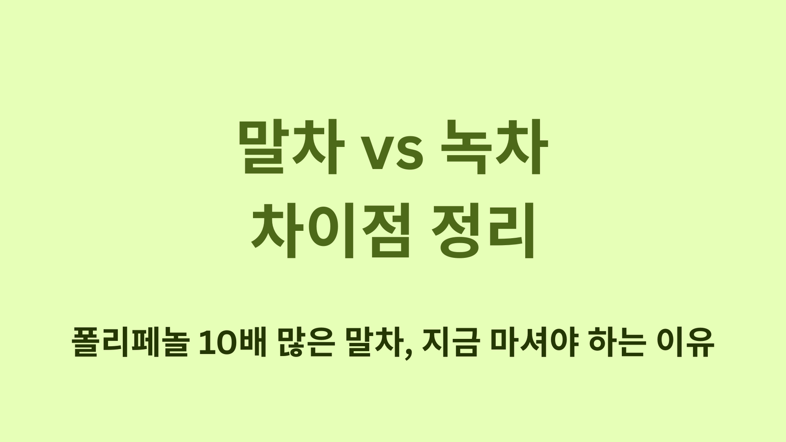 말차 vs 녹차 차이점 정리! 폴리페놀 10배 많은 말차, 지금 마셔야 하는 이유