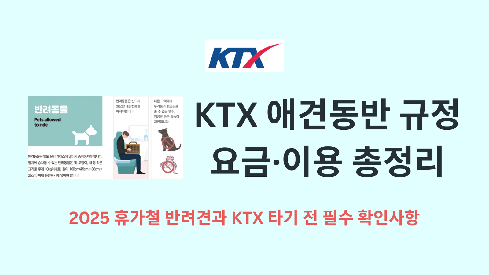 KTX 애견동반 규정·요금·이용 총정리｜2025 휴가철 반려견과 KTX 타기 전 필수 확인사항