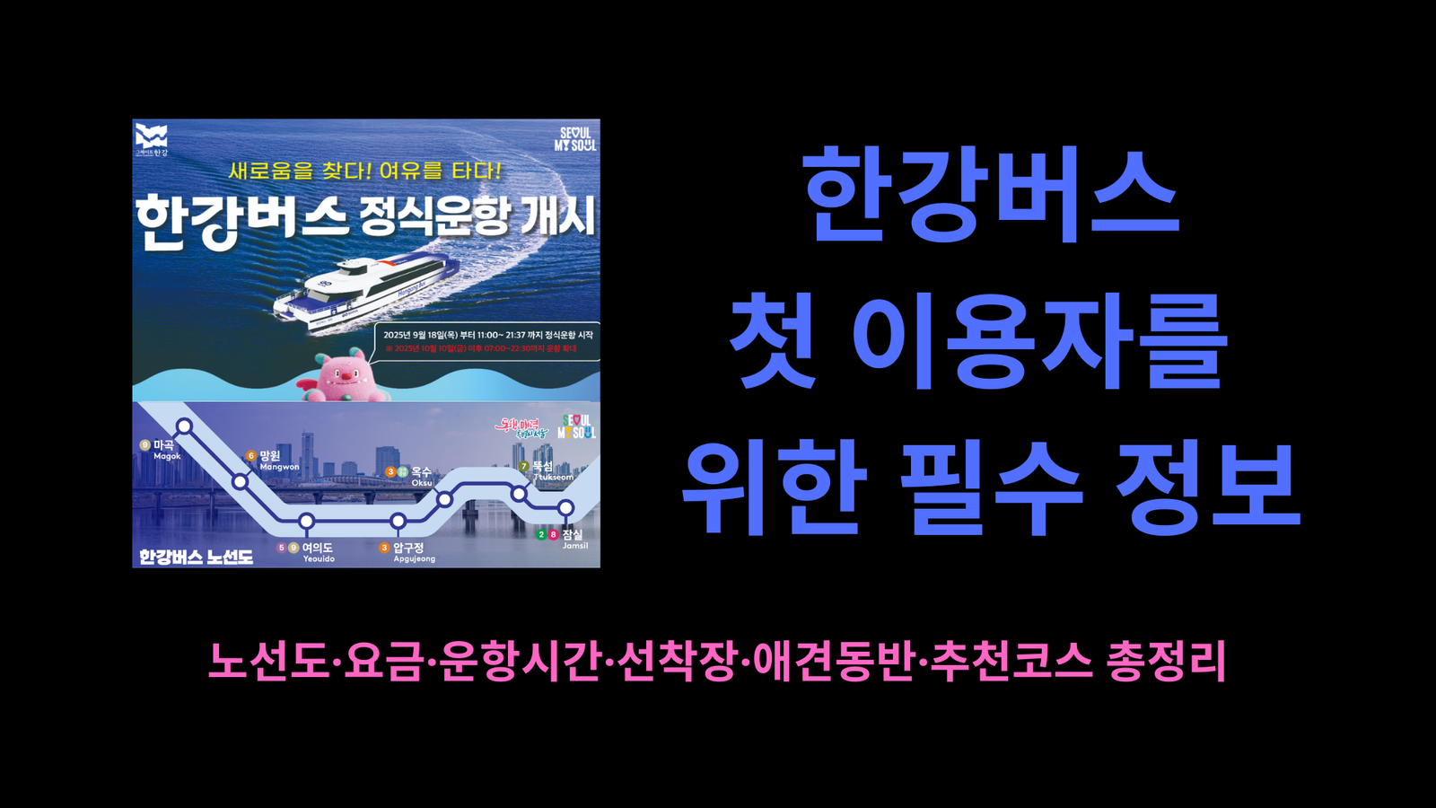 한강버스 첫 이용자를 위한 필수 정보 | 노선도·요금·운항시간·선착장·애견동반·추천코스 총정리